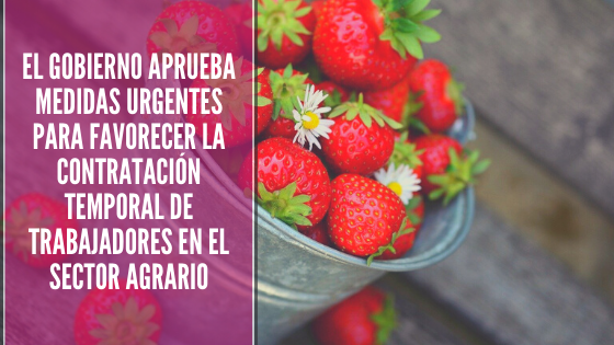 trabajadores, Abogacía Española, abogada, abogada de extranjeria, Abogada de Inmigración, ABOGADA JOVEN, Abogado s, Abogados, Acta de Manifestaciones, arraigo, Arraigo Familiar, Arraigo Laboral, ARRAIGO SOCIAL, carnés de conducir, Consulado Móvil, consulta gratis, Consulta Gratis Online, Consulta Online Gratis, coronavirus, Coronavirus 19, Coronavirus: el racismo que la pandemia deja al descubierto, Covid_19, Covid19, Crisis del coronavirus: atención en la oficina de ACNUR en España, DELE, El Ministerio prorroga durante 60 días la vigencia de los carnés de conducir que caduquen durante el estado de alarma., Eliminación de visado Schengen para ecuatorianos (Novedades año 2020), Entrada a España, entrada en españa, entrevista, ERTE, ERTE BASADO EN FUERZA MAYOR TEMPORAL, espacio SCHENGEN, Estado actual de los expedientes de solicitud de nacionalidad española, estado de alarma, estado de emergencia, Estado de expedientes, Estado de los Expedientes de Extranjería en Madrid (Abril 2019), Estado de los Expedientes de Extranjería