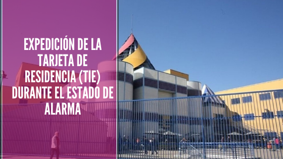 Abogacía Española, abogada, abogada de extranjeria, Abogada de Inmigración, ABOGADA JOVEN, Abogado s, Abogados, Acta de Manifestaciones, arraigo, Arraigo Familiar, Arraigo Laboral, ARRAIGO SOCIAL, carnés de conducir, Consulado Móvil, consulta gratis, Consulta Gratis Online, Consulta Online Gratis, coronavirus, Coronavirus 19, Coronavirus: el racismo que la pandemia deja al descubierto, Covid_19, Covid19, Crisis del coronavirus: atención en la oficina de ACNUR en España, DELE, El Ministerio prorroga durante 60 días la vigencia de los carnés de conducir que caduquen durante el estado de alarma., Eliminación de visado Schengen para ecuatorianos (Novedades año 2020), Entrada a España, entrada en españa, entrevista, ERTE, ERTE BASADO EN FUERZA MAYOR TEMPORAL, espacio SCHENGEN, Estado actual de los expedientes de solicitud de nacionalidad española, estado de alarma, estado de emergencia, Estado de expedientes, Estado de los Expedientes de Extranjería en Madrid (Abril 2019), Estado de los Expedientes de Extranjería