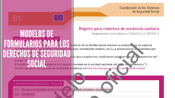 Abogacía Española, abogada, abogada de extranjeria, Abogada de Inmigración, ABOGADA JOVEN, Abogado s, Abogados, Acta de Manifestaciones, arraigo, Arraigo Familiar, Arraigo Laboral, ARRAIGO SOCIAL, carnés de conducir, Consulado Móvil, consulta gratis, Consulta Gratis Online, Consulta Online Gratis, coronavirus, Coronavirus 19, Coronavirus: el racismo que la pandemia deja al descubierto, Covid_19, Covid19, Crisis del coronavirus: atención en la oficina de ACNUR en España, DELE, El Ministerio prorroga durante 60 días la vigencia de los carnés de conducir que caduquen durante el estado de alarma., Eliminación de visado Schengen para ecuatorianos (Novedades año 2020), Entrada a España, entrada en españa, entrevista, ERTE, ERTE BASADO EN FUERZA MAYOR TEMPORAL, espacio SCHENGEN, Estado actual de los expedientes de solicitud de nacionalidad española, estado de alarma, estado de emergencia, Estado de expedientes, Estado de los Expedientes de Extranjería en Madrid (Abril 2019), Estado de los Expedientes de Extranjería