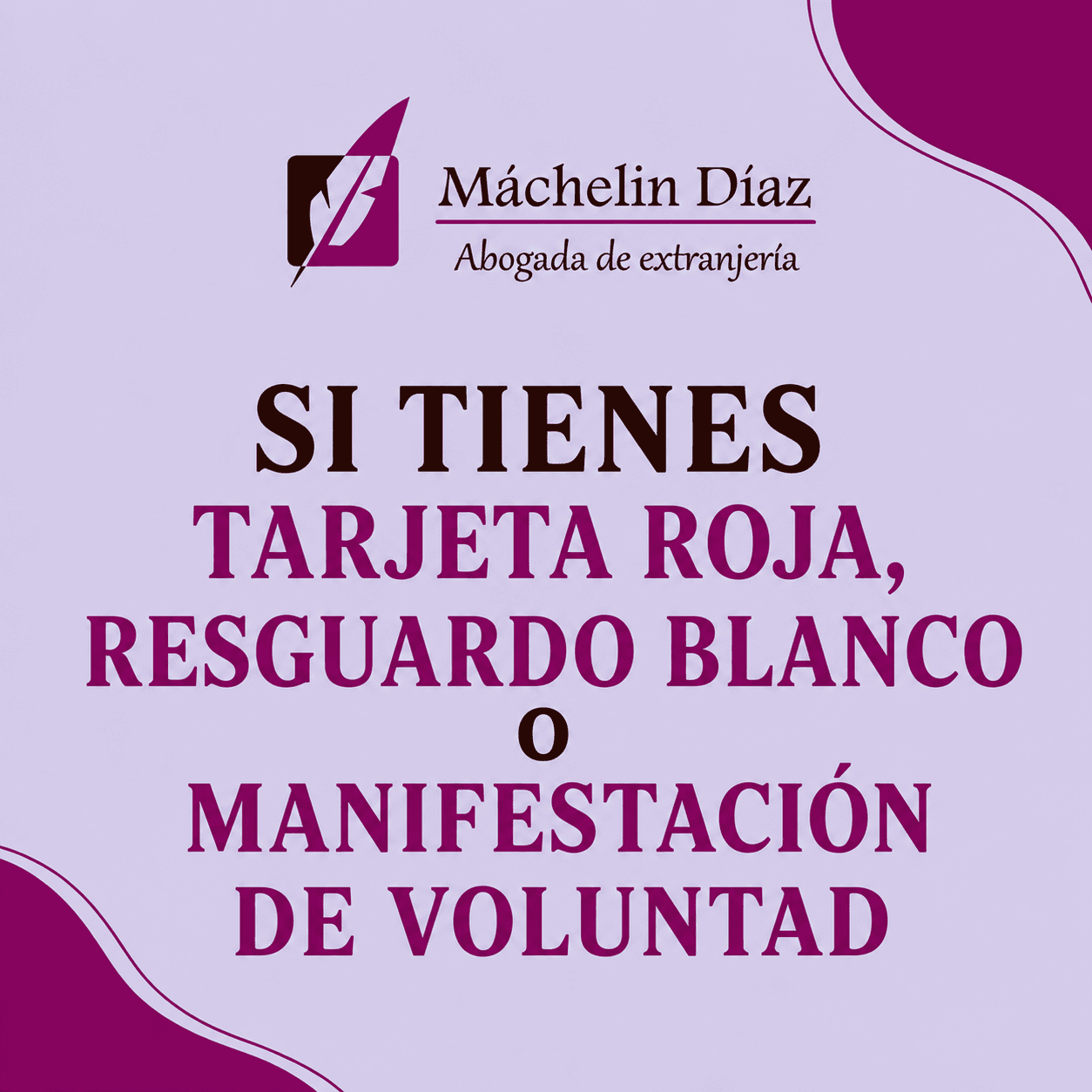 Estructura de la imagen con texto en español para SEO y accesibilidad:.