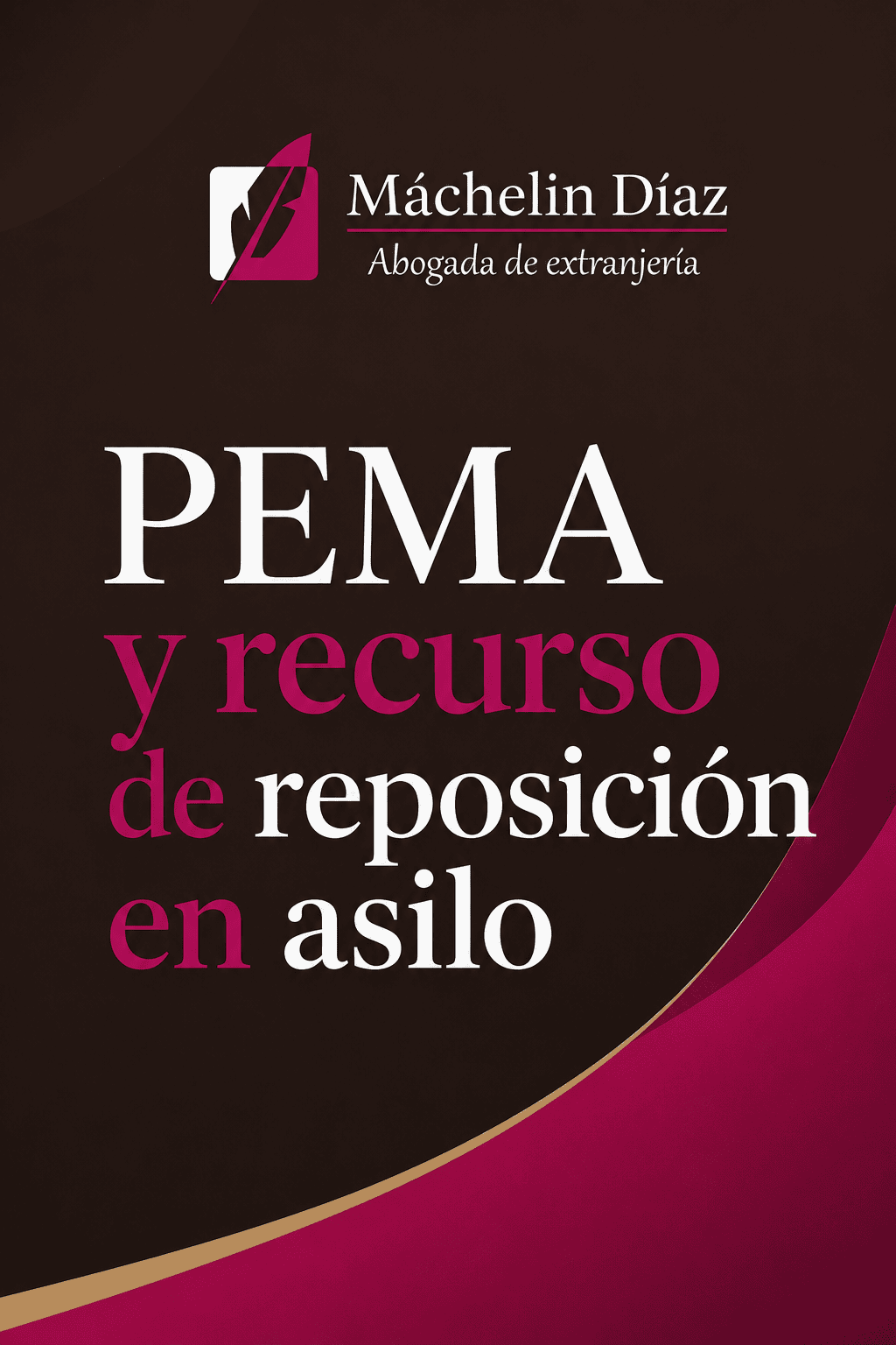 Portada de libro sobre PEMA y recurso de reposición en asilo, con logo y título en español.